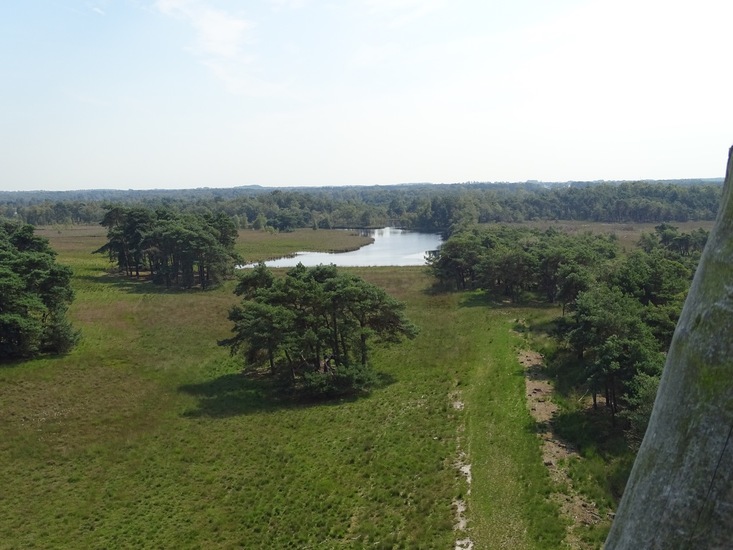 Uitzicht vanaf Uitkijktoren.
