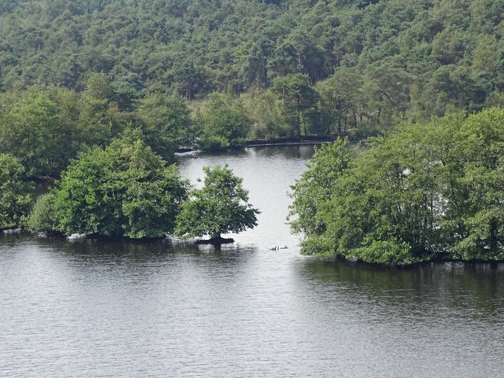 Uitkijkpost landgoed Utrecht.