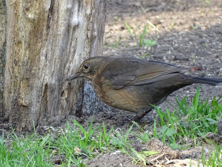 Ken en Geniet, Dongen.