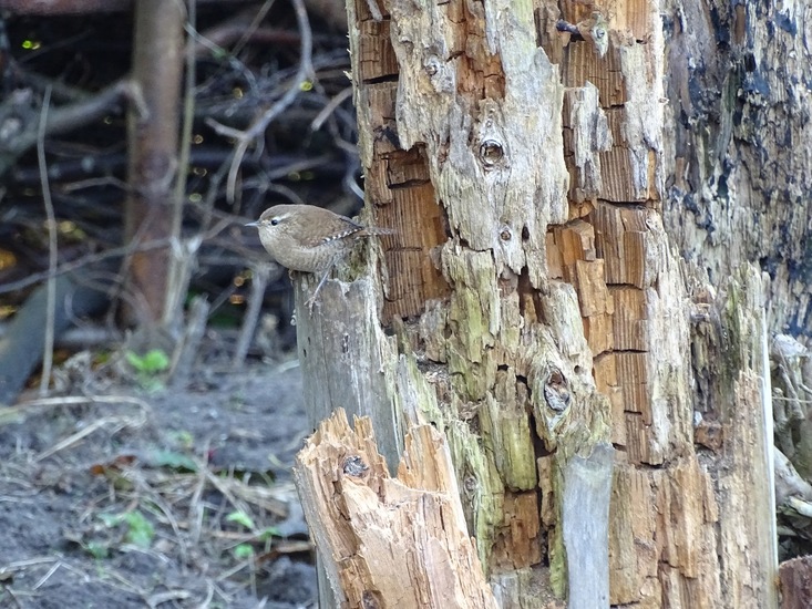 Ken en Geniet, Dongen.