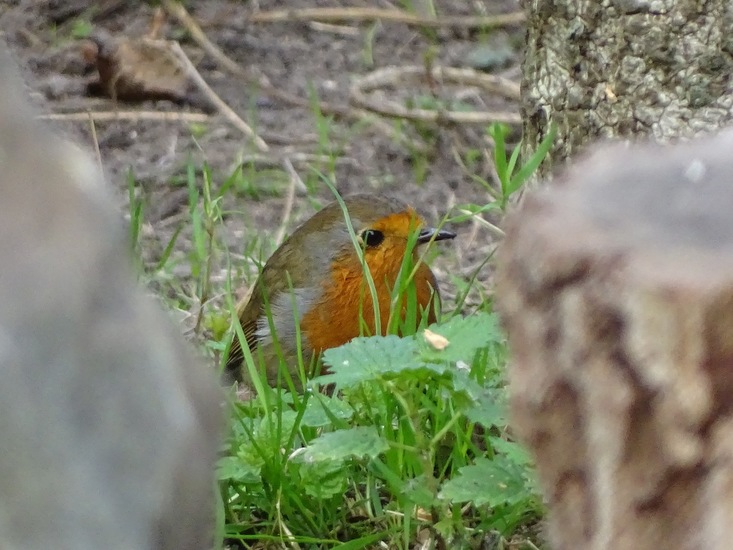 Ken en Geniet, Dongen.
