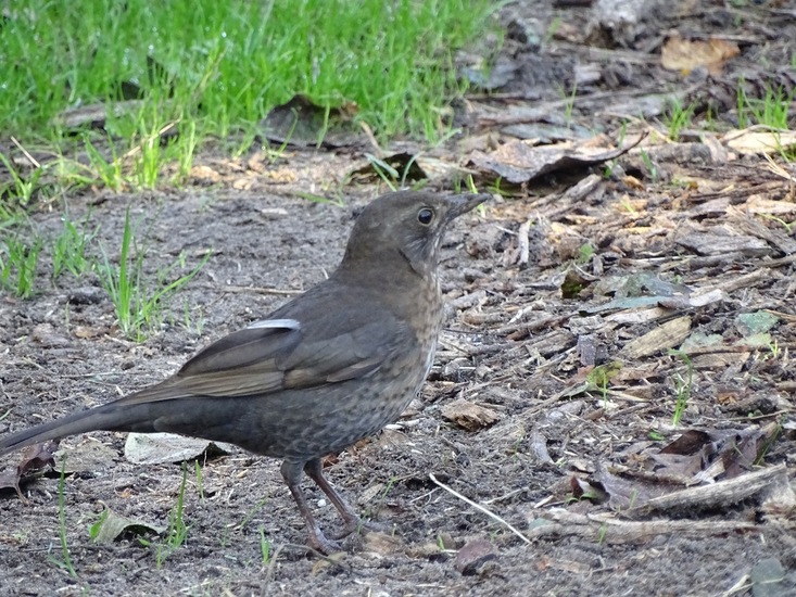 Ken en Geniet, Dongen.