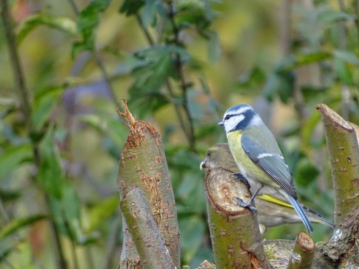 Ken en Geniet, Dongen.