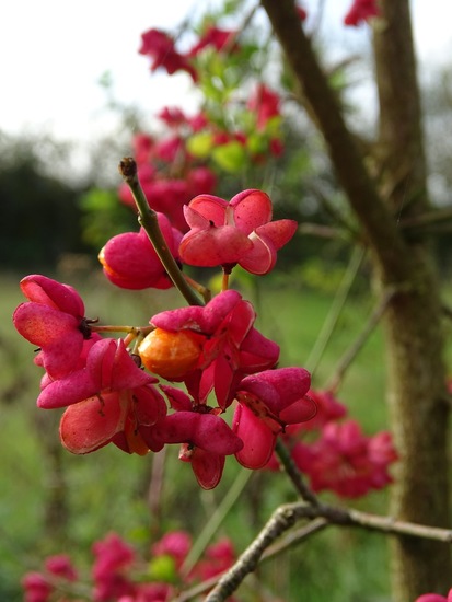 Ken en Geniet, Dongen.