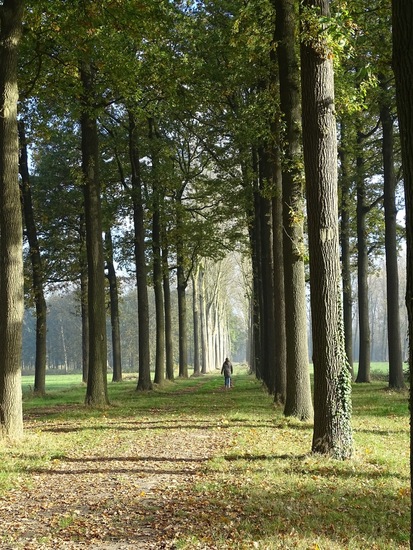 Kasteel bij De Brand.