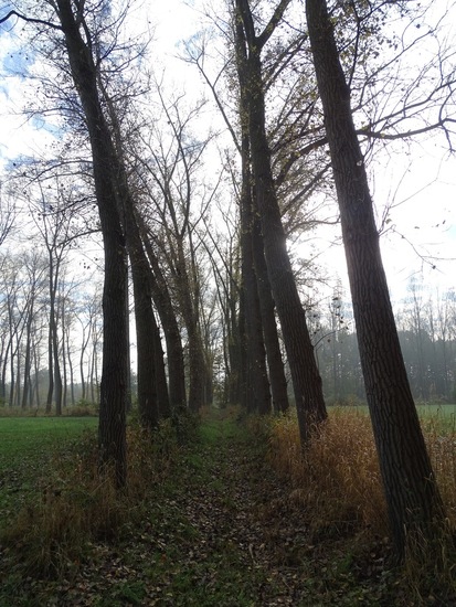 Kasteel bij De Brand.