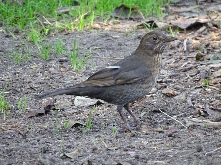 Ken en Geniet, Dongen.