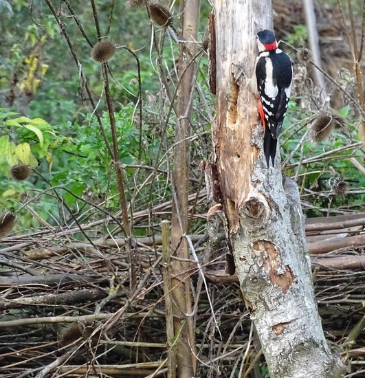 Ken en Geniet, Dongen.