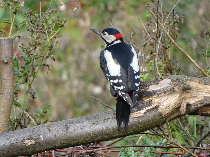 Ken en Geniet, Dongen.