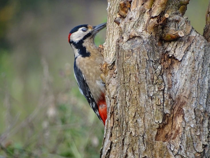Ken en Geniet, Dongen.