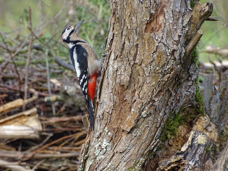 Ken en Geniet, Dongen.