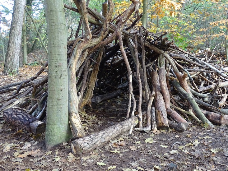 Nerhovensche bosschen.