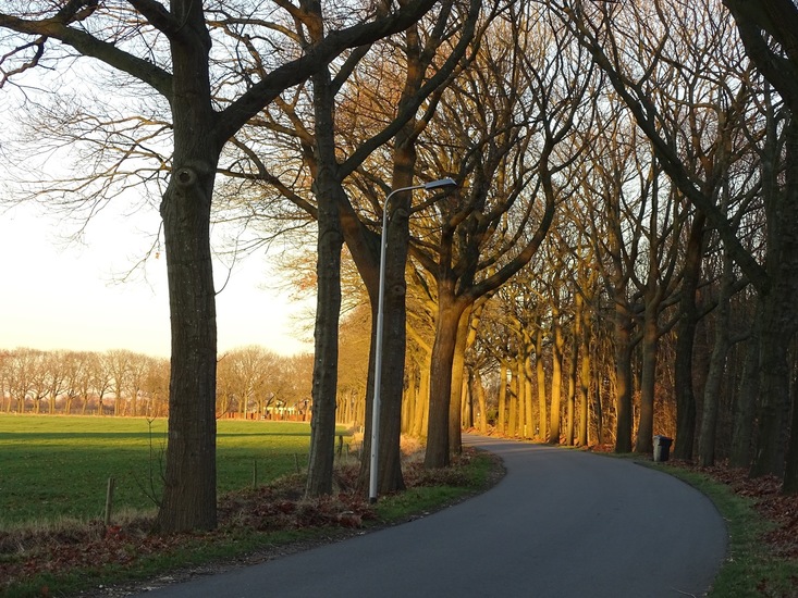 Hultenseweg.