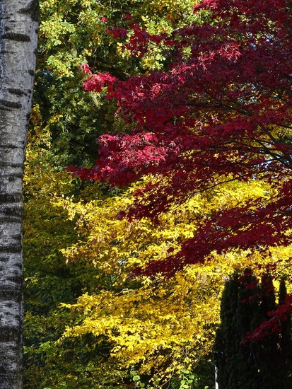Beelstraat om de hoek.