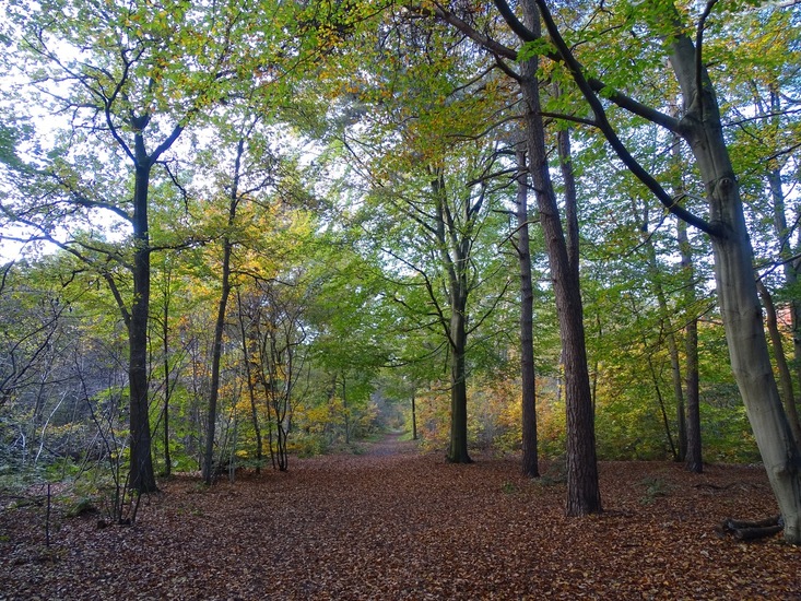 Langs de Tilburgse weg.