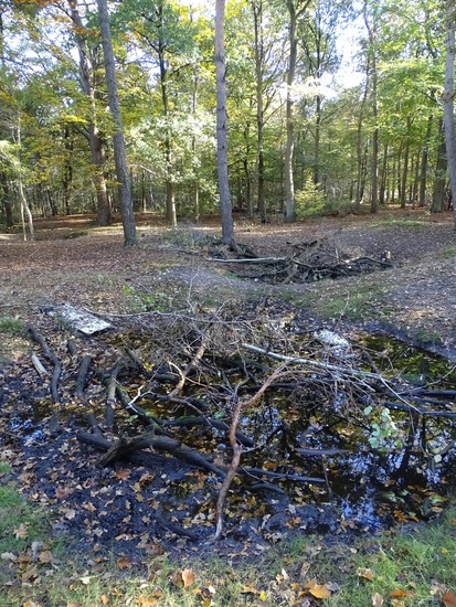Langs de Tilburgse weg.