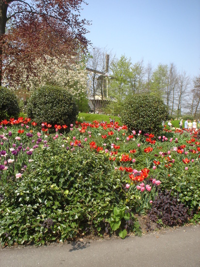 Keukenhof.