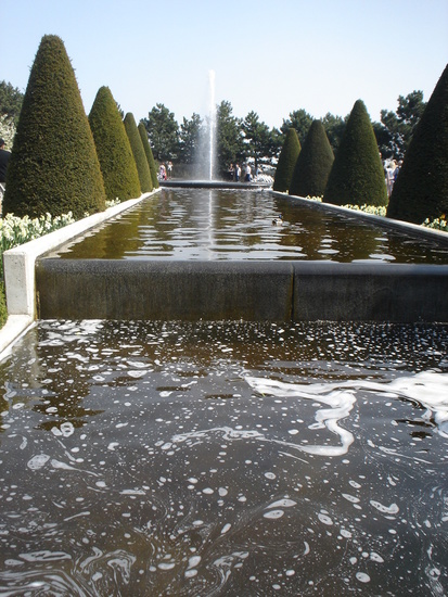 Keukenhof.