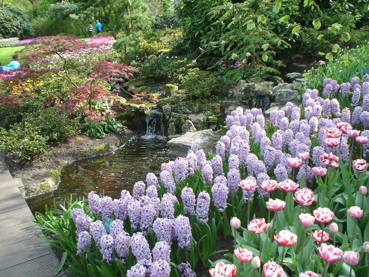 Keukenhof.