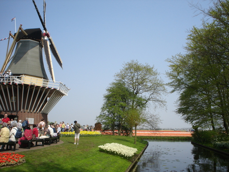 Keukenhof.