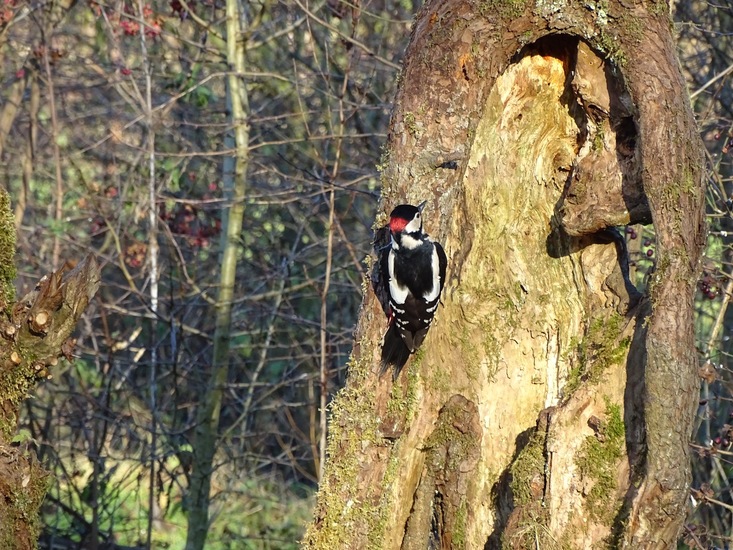 Ken en Geniet, Dongen.