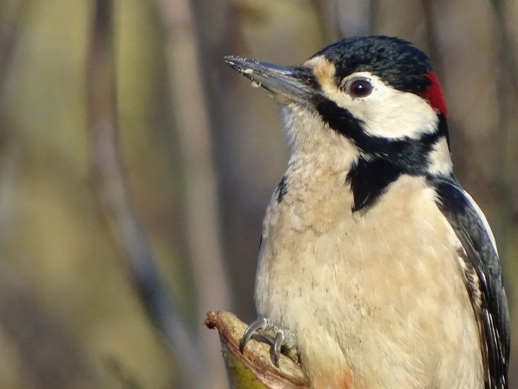 Ken en Geniet, Dongen.