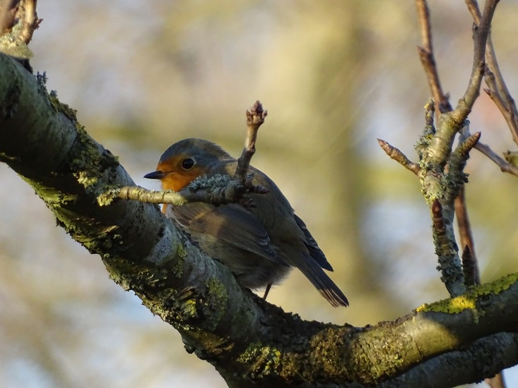 Ken en Geniet, Dongen.