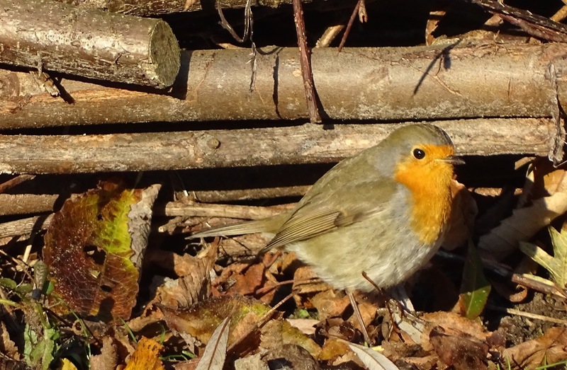 Ken en Geniet, Dongen.