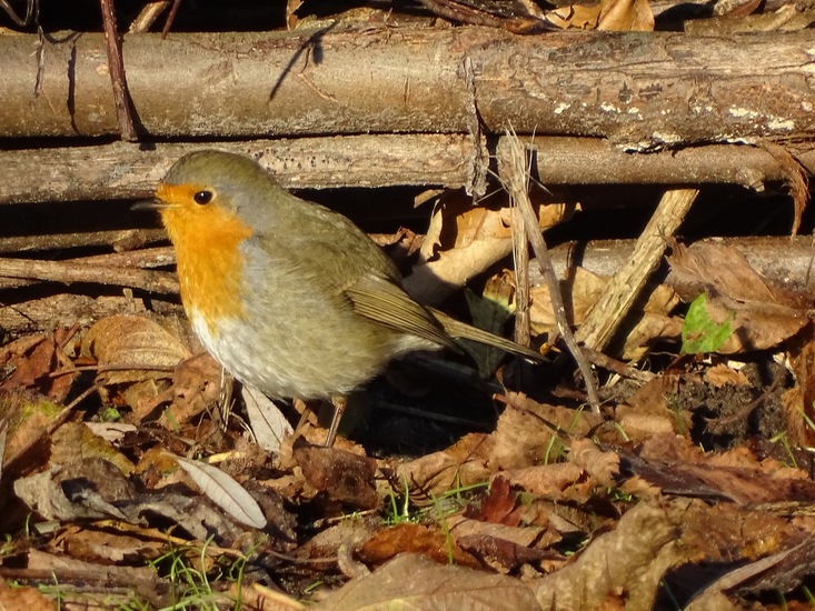 Ken en Geniet, Dongen.