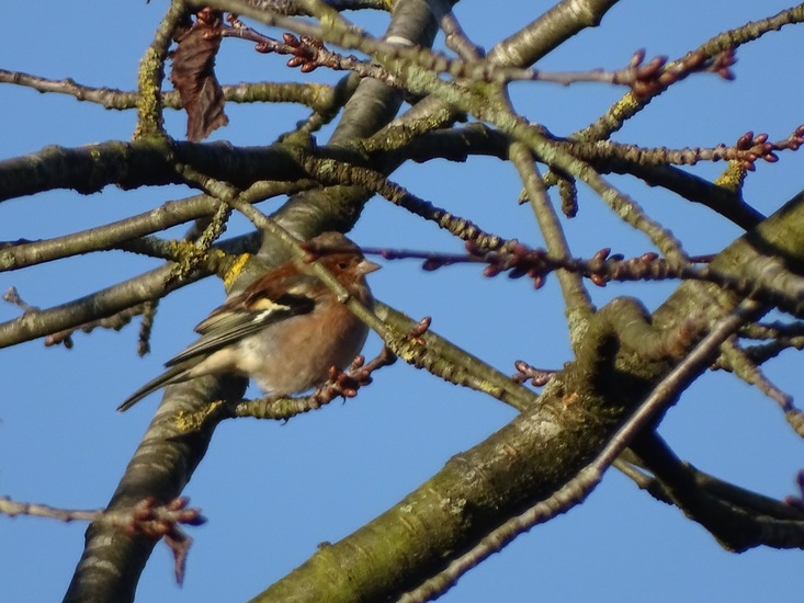 Ken en Geniet, Dongen.