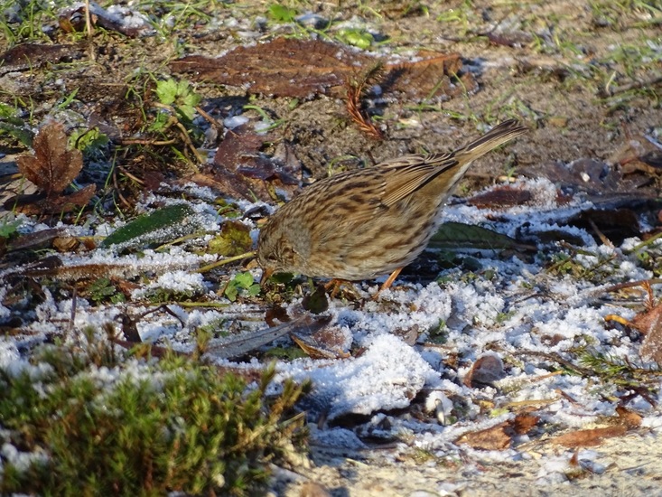 Ken en Geniet, Dongen.
