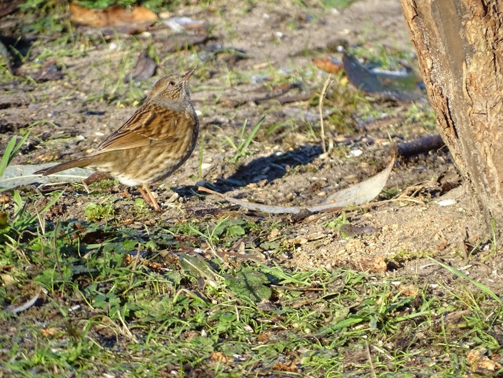 Ken en Geniet, Dongen.