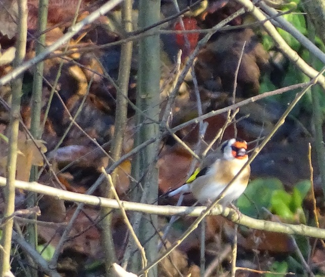 Ken en Geniet, Dongen.