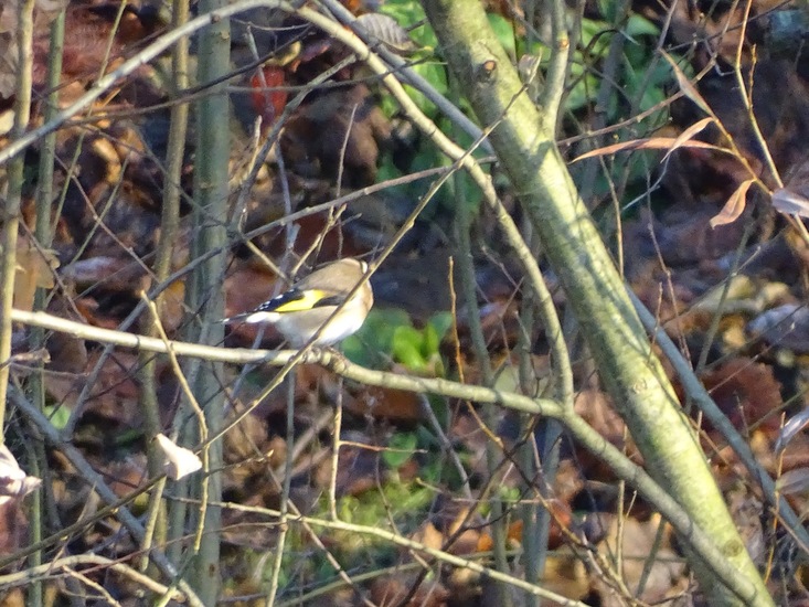 Ken en Geniet, Dongen.