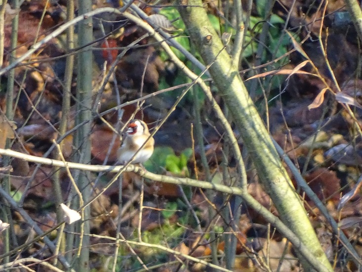 Ken en Geniet, Dongen.