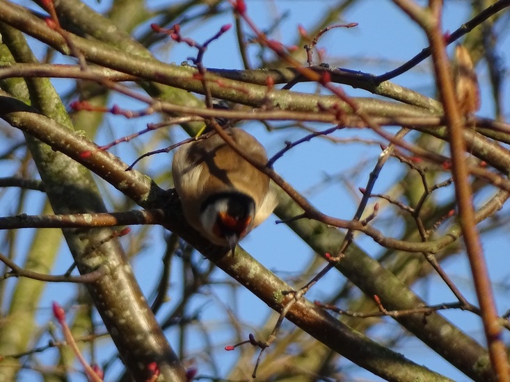 Ken en Geniet, Dongen.