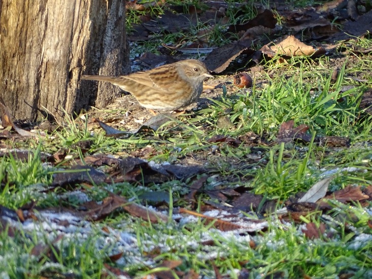 Ken en Geniet, Dongen.