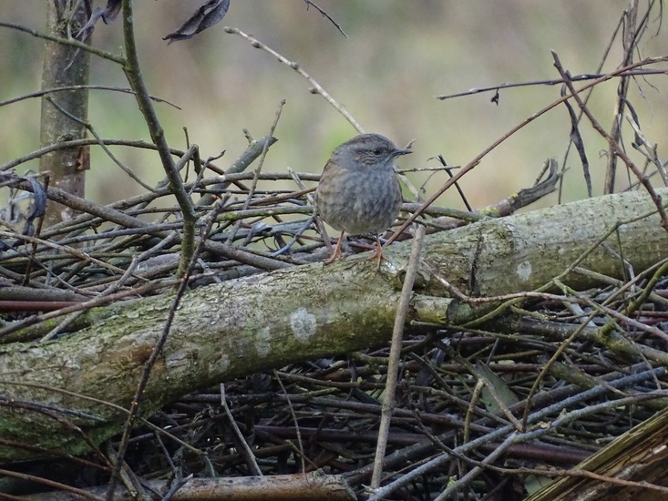 Ken en Geniet, Dongen.