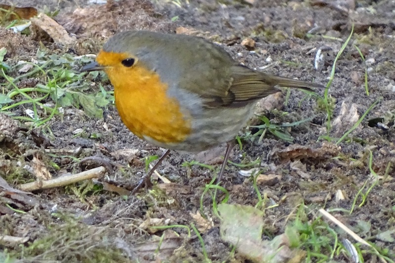 Ken en Geniet, Dongen.