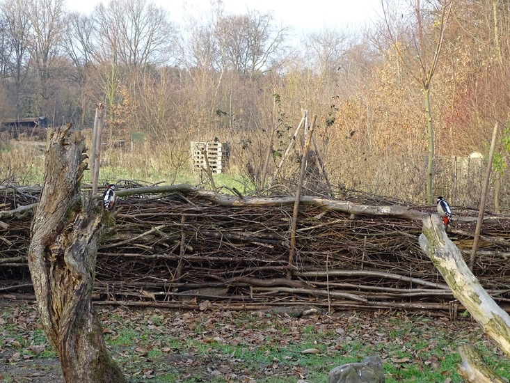 Ken en Geniet, Dongen.