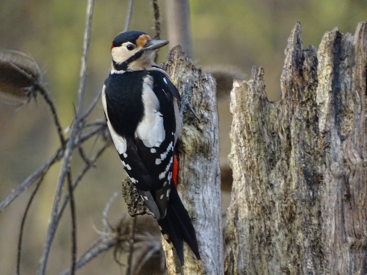 Ken en Geniet, Dongen.