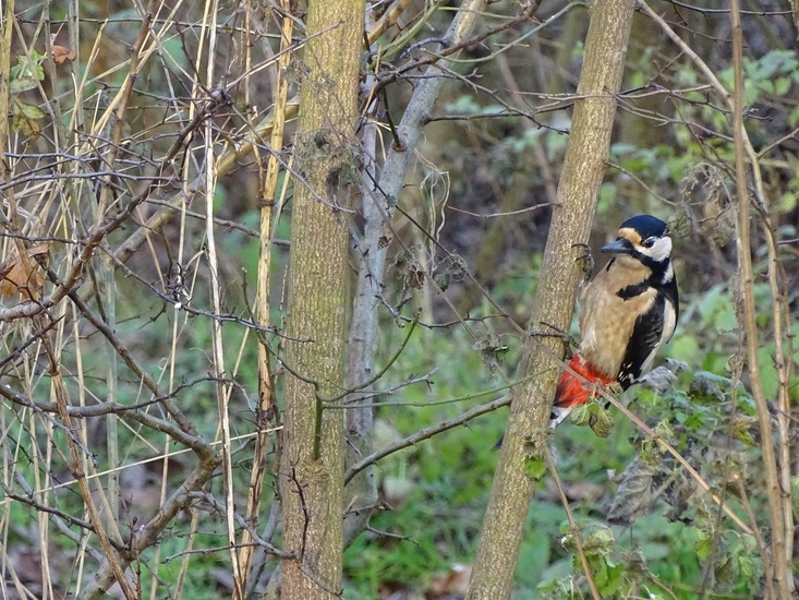 Ken en Geniet, Dongen.