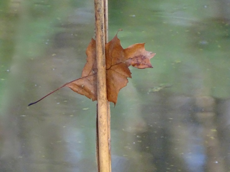 Knap werk van de wind.