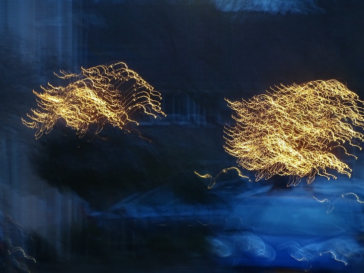 Spelen met lichtjes.