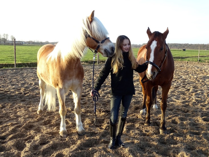 Vivian, Bailey, Ayko.