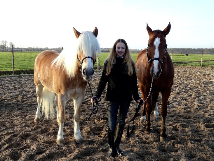 Vivian, Bailey, Ayko.