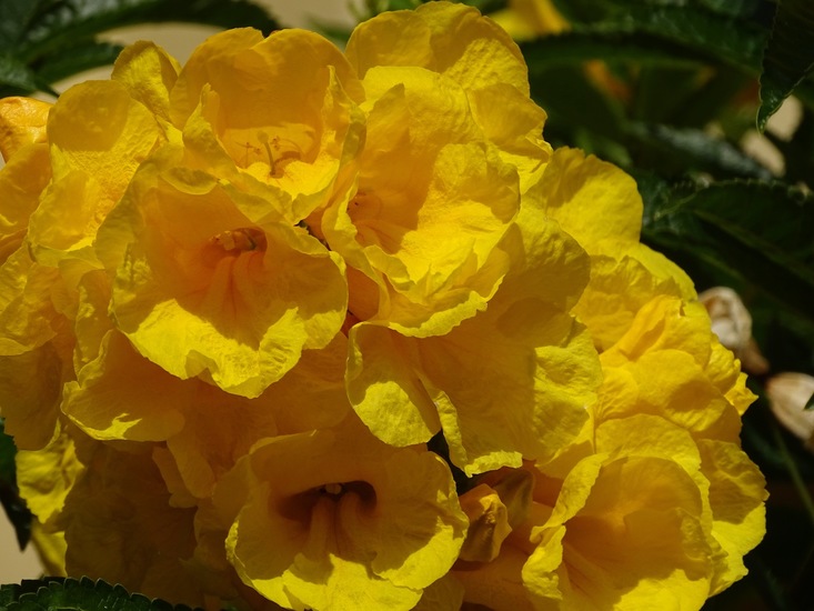 Hotel The Tree Corners.