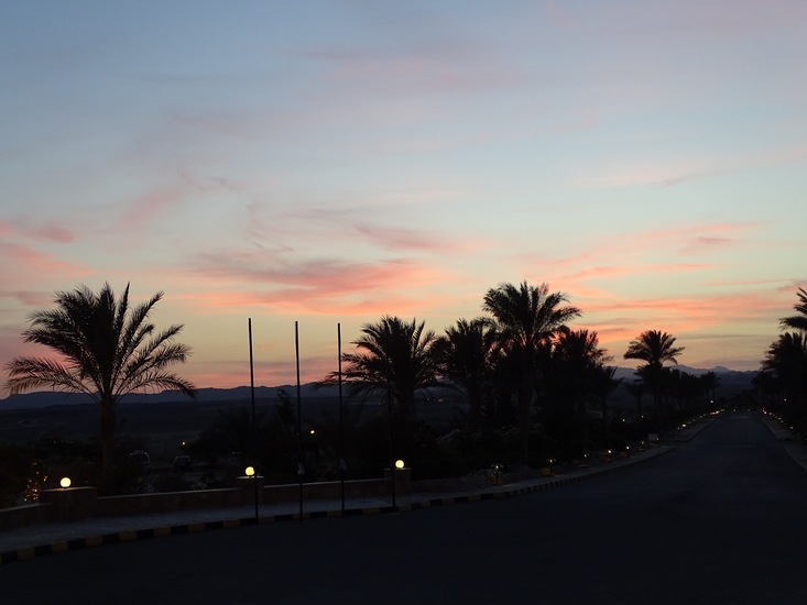 Hotel The Tree Corners.