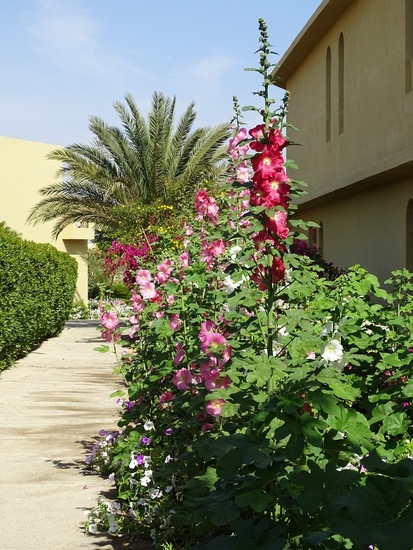 Hotel The Tree Corners.