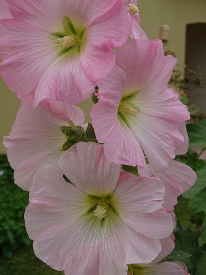 Hotel The Tree Corners.